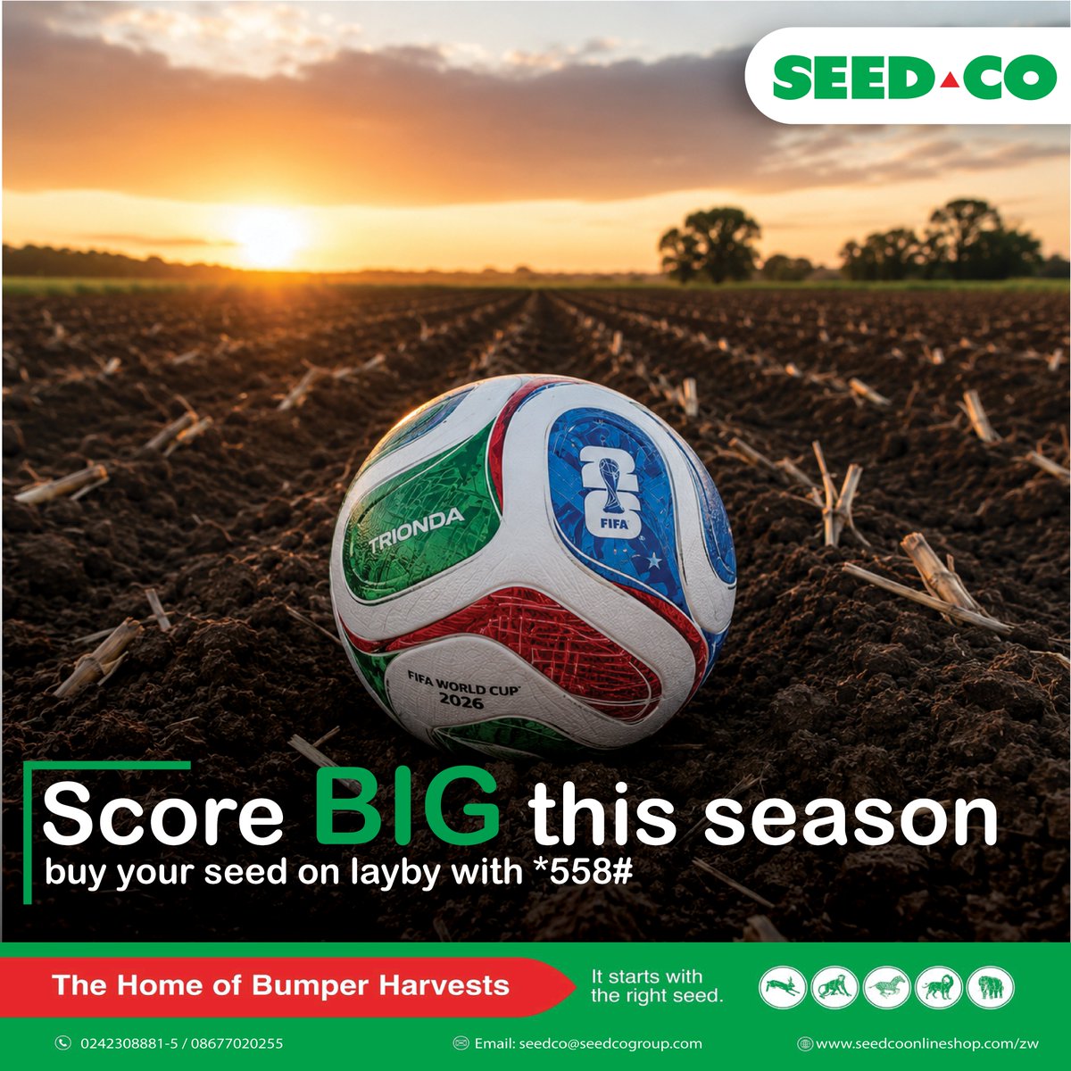 SeedCoZimbabwe's tweet photo. This month, it’s all about G⚽ALS, on and off the field! Score big by securing your seed early with our lay-by option on *558#
Sit back, enjoy the FIFA World Cup knowing your seed is waiting for you at planting season
Which team are you supporting &amp; have you registered on *558#?? https://t.co/SyvoBwnodu
