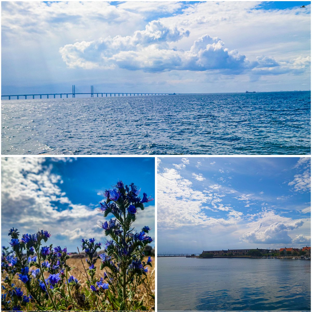 LisavonSteijern's tweet photo. Have had a lovely afternoon at Limhamn
#limhamn #photofrommyheart https://t.co/c0Q2HIqr9H