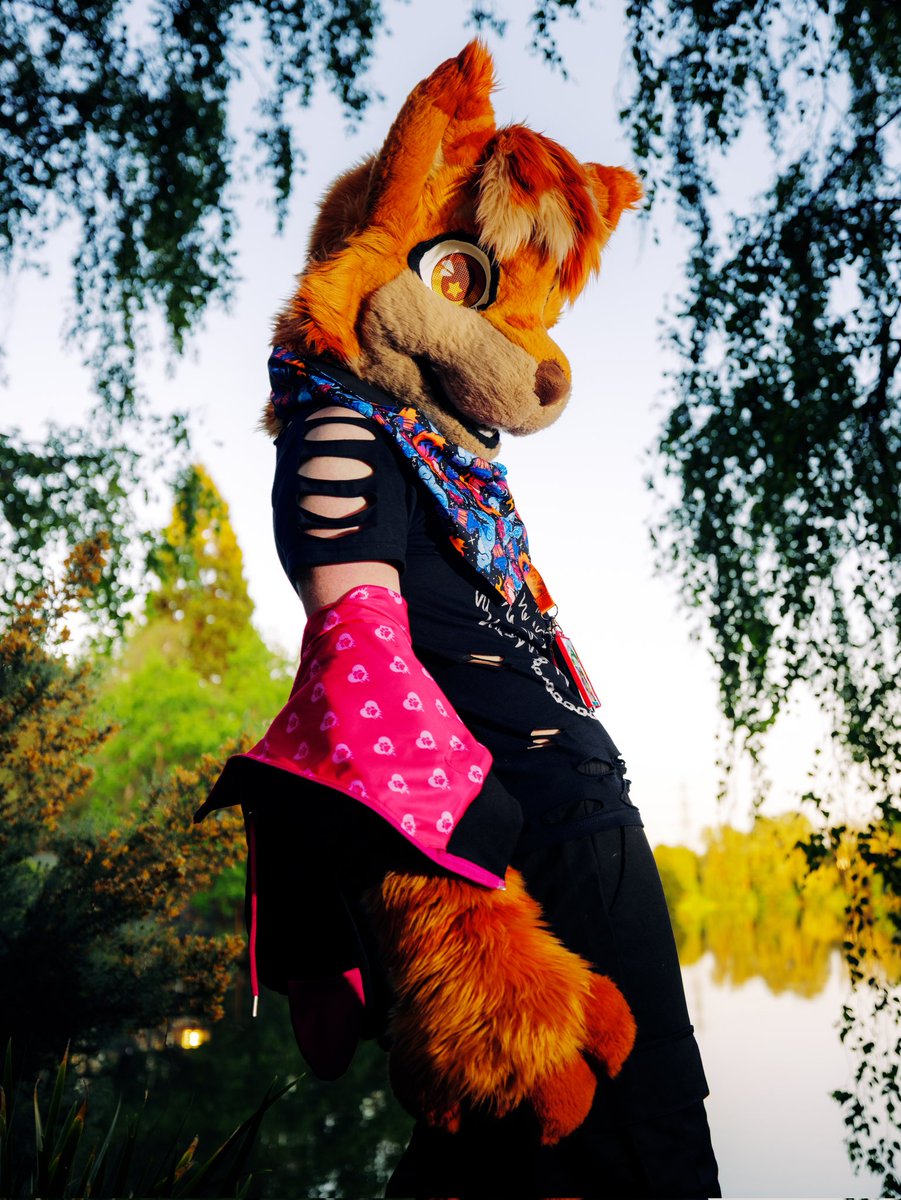 Apollo_Fluff's tweet photo. Pride month may be over but my fruity fashion is here to stay 😼 https://t.co/EWyIWsEcJk