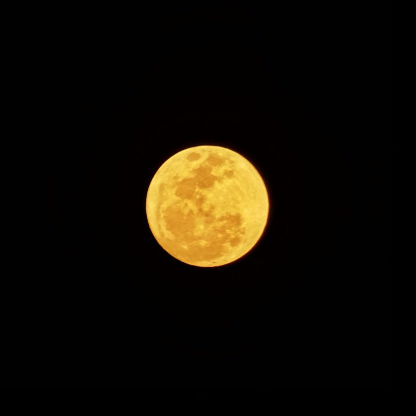 haniftsa's tweet photo. bulan 29 30 juni bagus bangetttttt https://t.co/JK436NHDEe