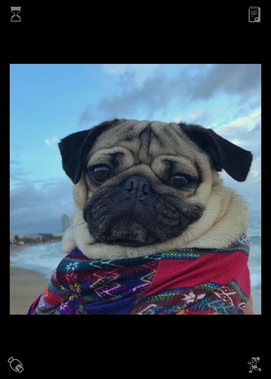 MasseyGentry's tweet photo. Learn the easy-to-remember Spanish word "Gracias!" After sniffing for a few seconds, Lila rubbed her head against Clara’s hand with a soft, quiet purr. Clara smiled, her heart melting, and gently scratched Lila behind the ears, moving carefully. Lila leaned into the touch, cl https://t.co/Iu88jrSYbD