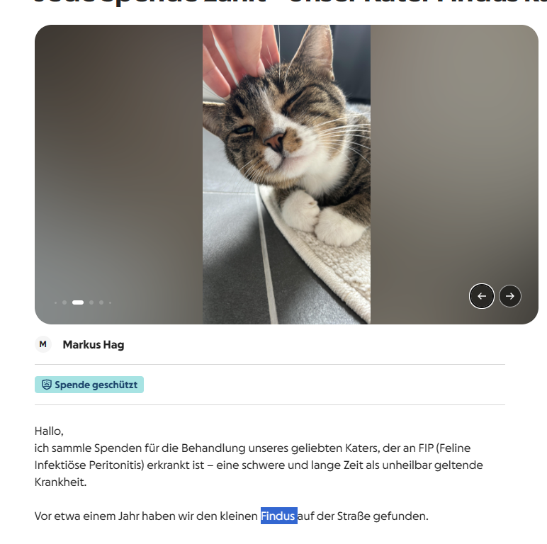 TrolldevSol's tweet photo. i found a cat called "Findus" that looks exactly like the cat 

https://t.co/uvhUvv4vrL
https://t.co/suHIF27gpW https://t.co/g4z7NCS39C