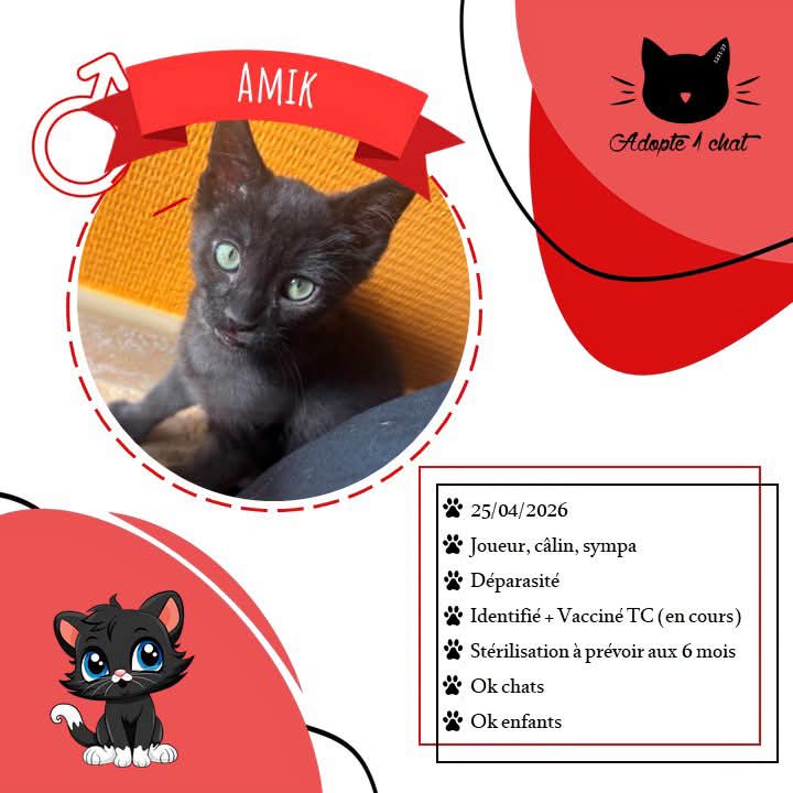 Adopte1chat tweet picture