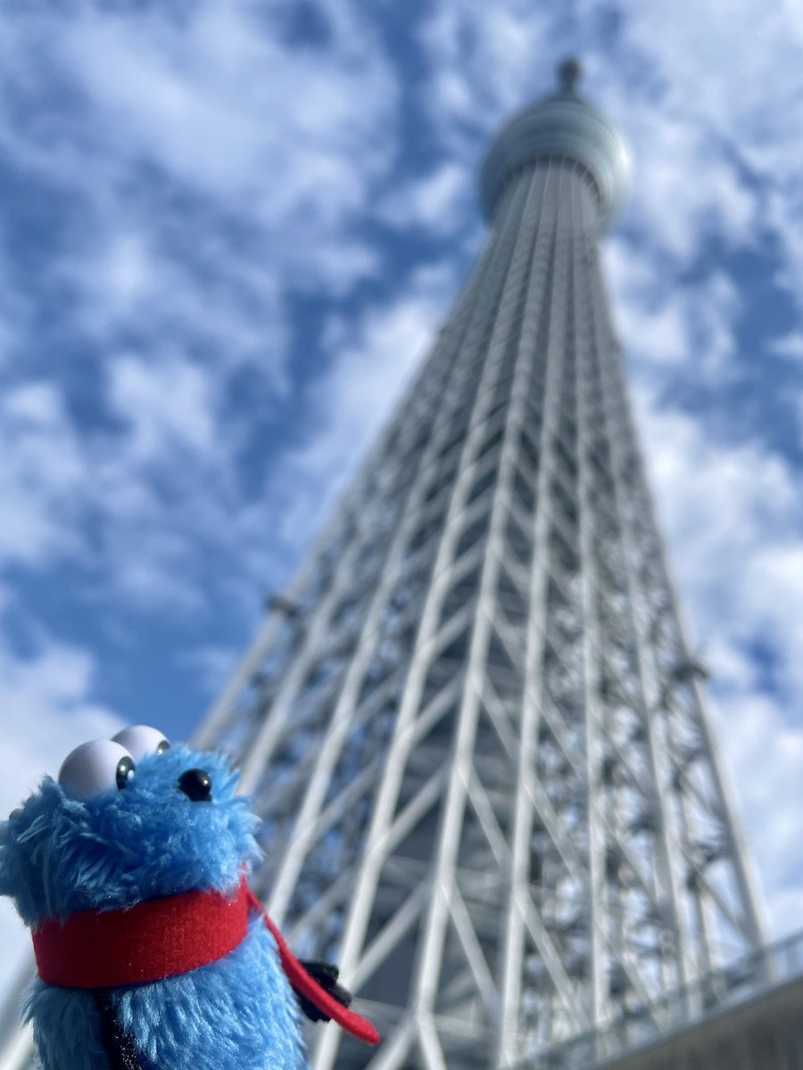 Chiroloo0's tweet photo. @ll_o3o5 カメラロールからもふもふ漁ってきたよd(^_^o)
スカイツリーを見上げるスンスンご査収くださいませ！ちょっとでも気持ちが明るくなるといいなぁ…！ https://t.co/4mIRuxGn87