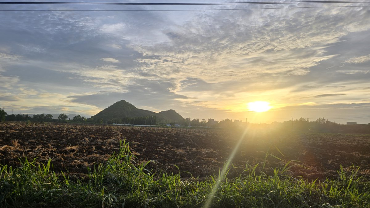 Chatree657370's tweet photo. บรรยากาศแถวบ้าน https://t.co/LgtqLq0yet