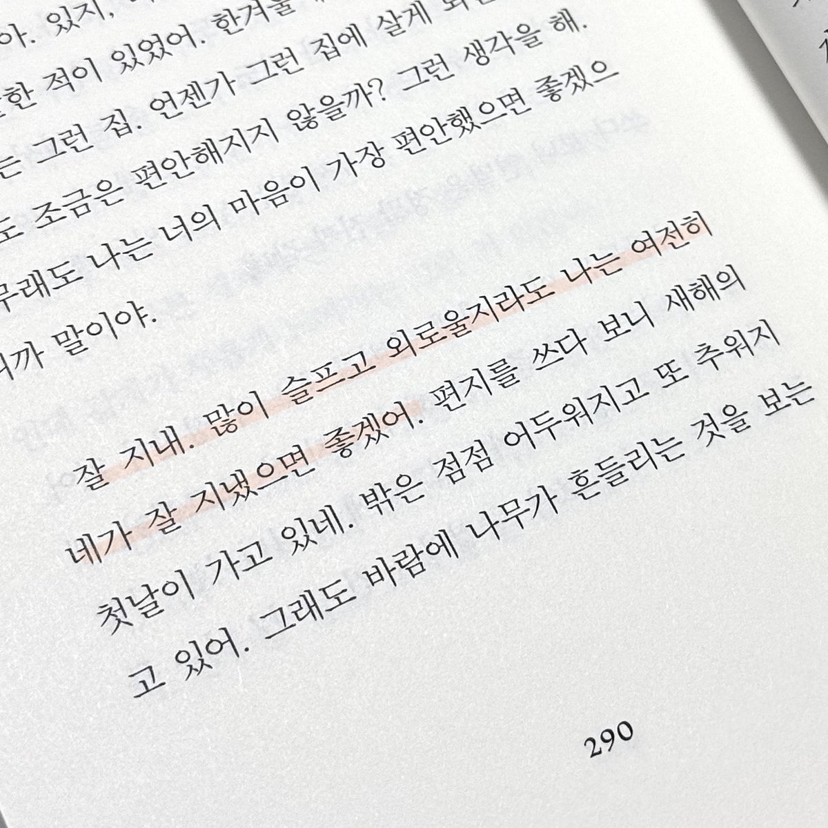 이레 tweet media