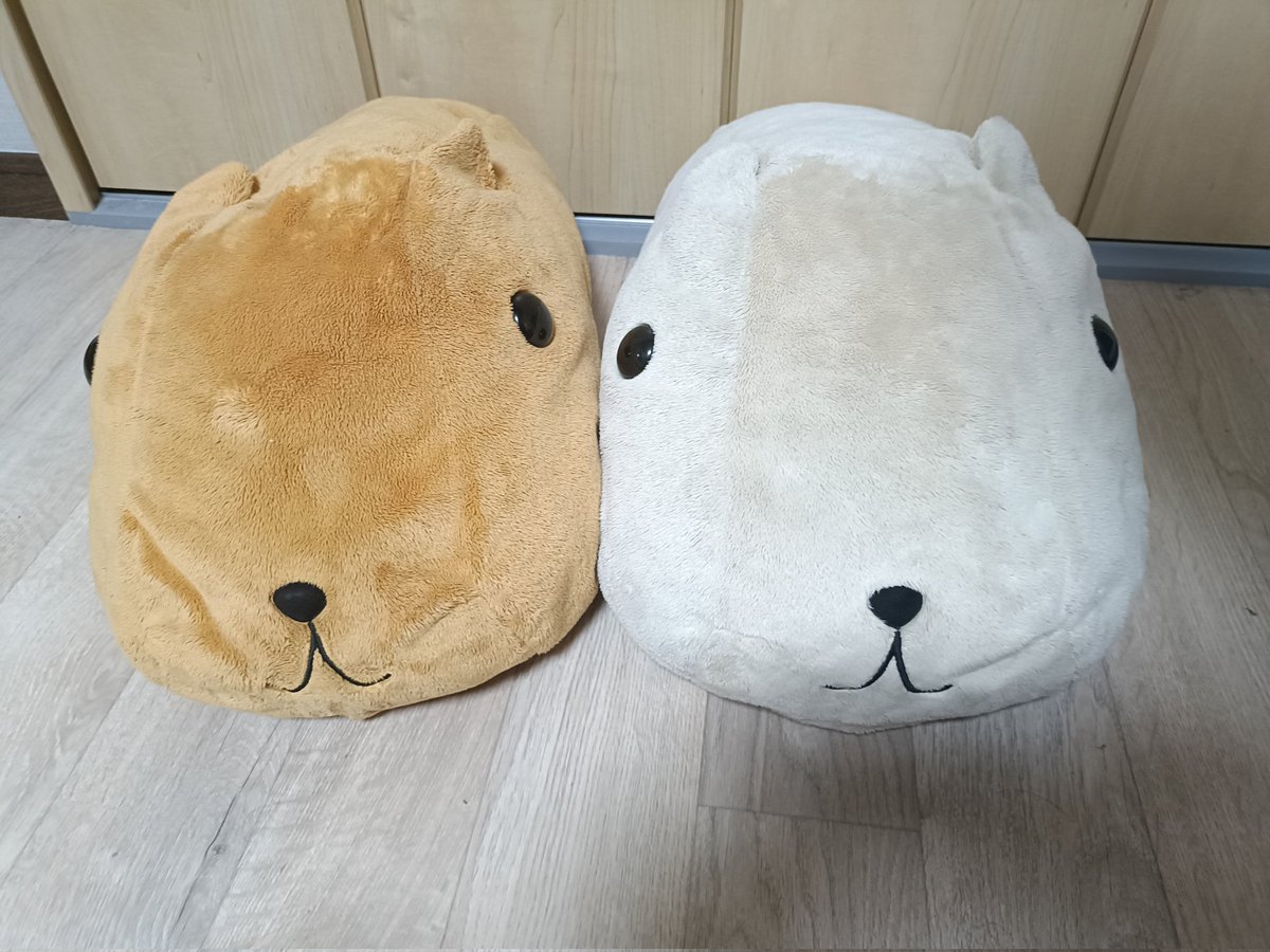 lunarossa999's tweet photo. 20周年の思い出展
美術館だから身軽で行くのがマナーなんだろうけど、20年の思い出が詰まったこの子達をどうしても連れていきたい https://t.co/bPOr886aZa