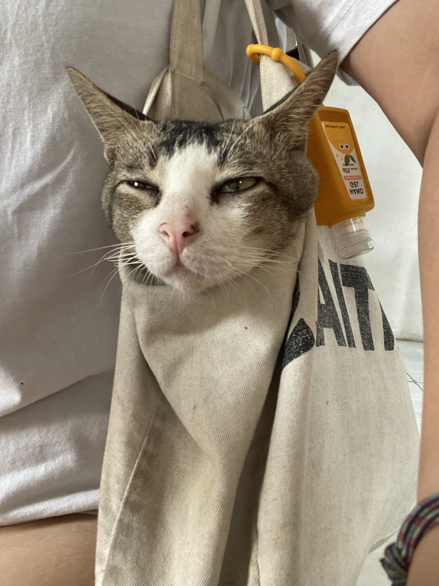 freallvv's tweet photo. aqua, pulang yukkkk😭😭😭

kamu ke mana kok mainnya lama banget???!😭 udah hampir sebulan gak pulang😭😭😭 https://t.co/ydLTlepzwz