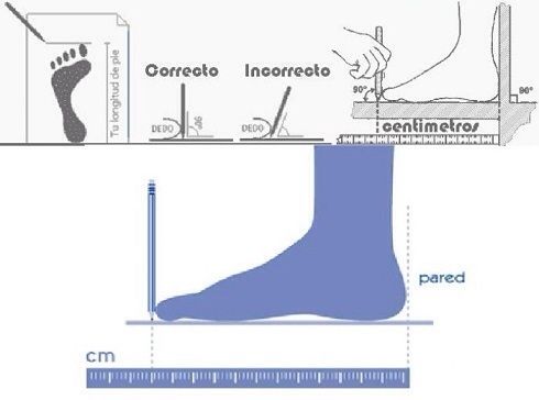 planet_roller's tweet photo. Para elegir la talla de tu #patin debes medir tu pie en cm y luego revisar según la marca que elijas tu talla según tú medida. Revisa aquí:  https://t.co/vqNQiXTq4u https://t.co/9gnPYN5rmP