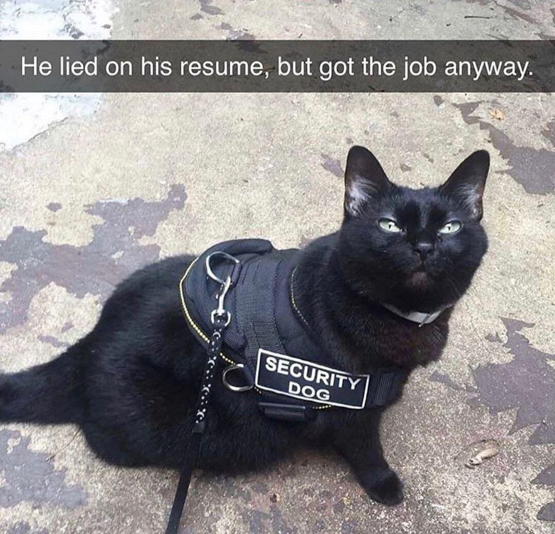 hackinarticles's tweet photo. Pic of the Day

#infosec #cybersecurity #cybersecuritytips #pentesting #cybersecurityawareness https://t.co/yAMhIq8Qld