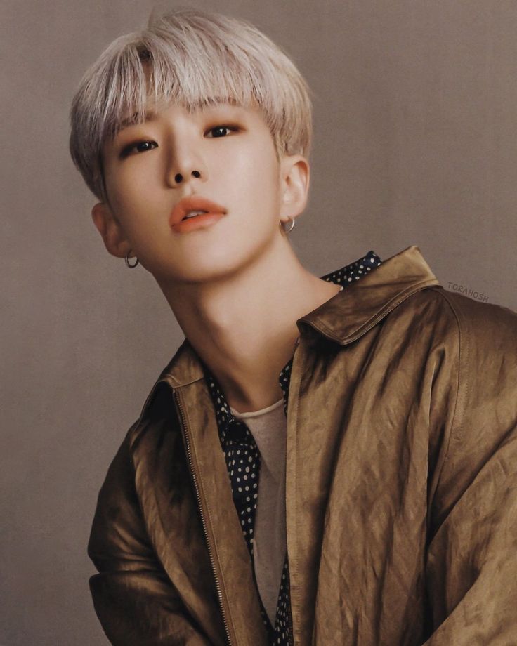 svtserving's tweet photo. 256 days until Hoshi's return from military service. https://t.co/vYRacwLIBe
