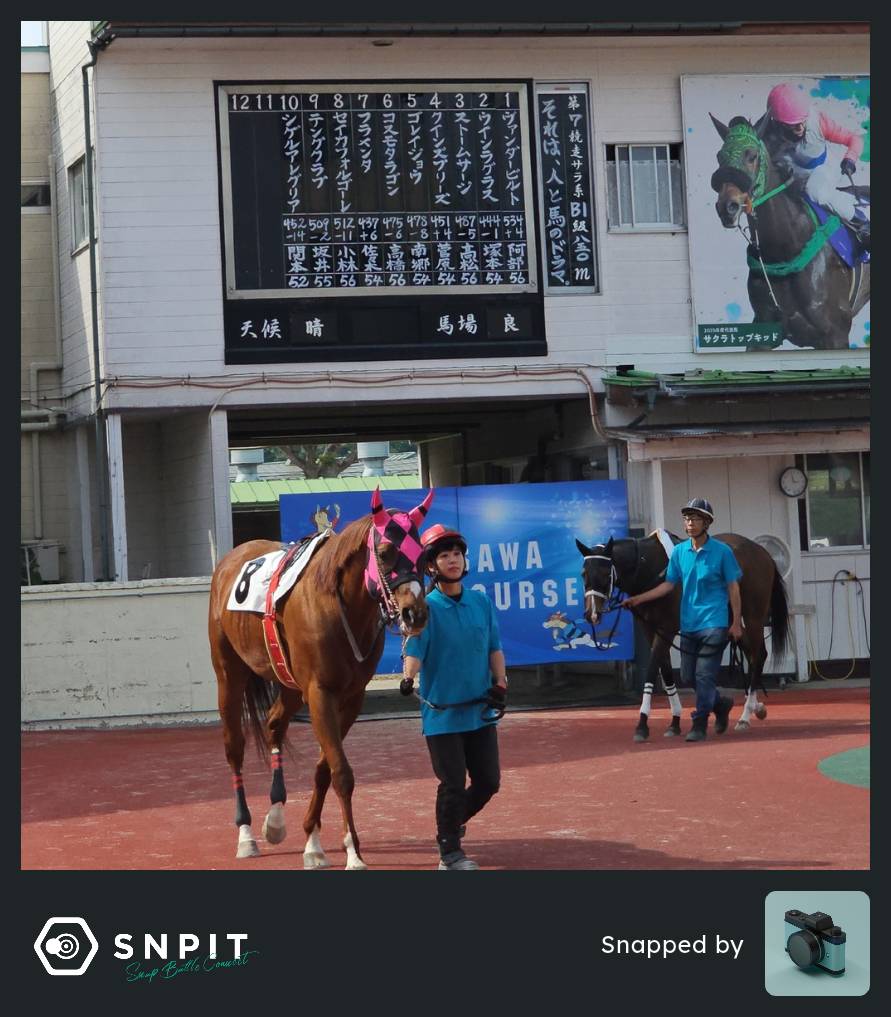 yamasanph's tweet photo. 「下見所」の手書きほ馬名はどうやって変えてるのか見たかったけど、レース中に変えてるのかまじで未解決。
 #SNPIT https://t.co/jbVSgSXgQ6