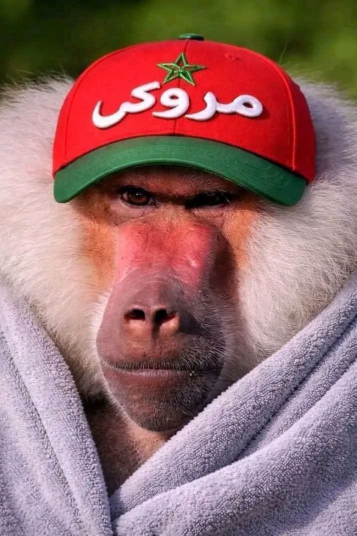 Faris Demagh tweet media