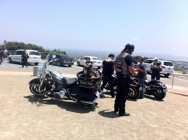 abate_ca's tweet photo. As an ABATE member, you will be helping all motorcyclists by being a part of an organization dedicated to freedom of the road. Your dues help to fund ABATE, and by volunteering you can accomplish what needs to be done to maintain the freedom of the road https://t.co/kbRXFpKO8o