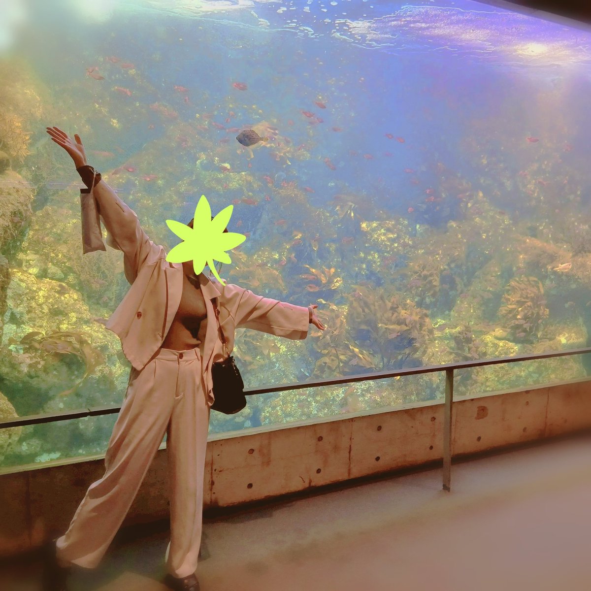 1829_magi's tweet photo. 先日は水族館を満喫🐠🫧✨
可愛子ちゃんたちいっぱいで眼福！お陰でテンションぶち上がってました https://t.co/xutUu8AMnO