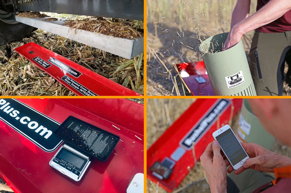 torgersons_llc's tweet photo. Better data = better harvest decisions.
SmartPan helps you measure loss the right way.
Learn more: https://t.co/pwTMAnhPm2
#TorgersonsEquipment #smartpan #bushelplus #montanaag https://t.co/QbehlBNwhL