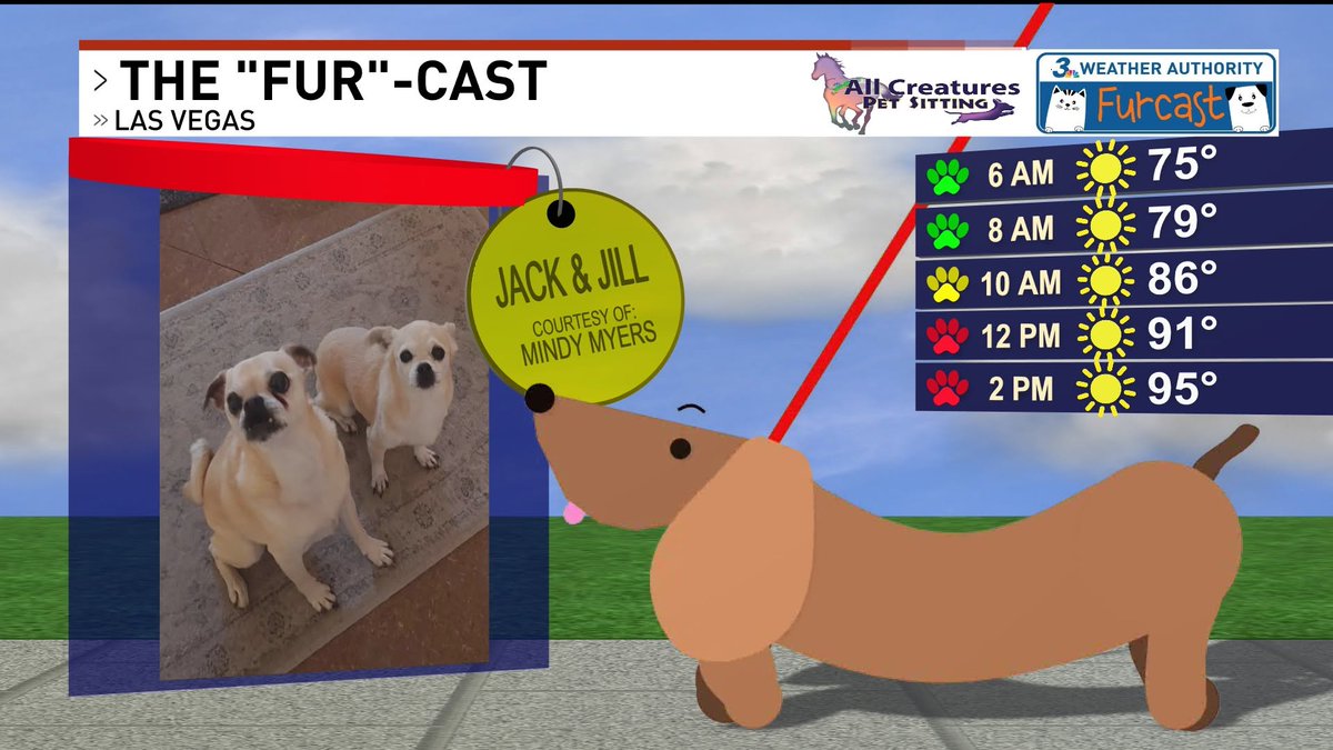 ChloeKoast's tweet photo. Enjoy your early morning walk Jack & Jill! #Furcast #LasVegas https://t.co/d1fOg5otfs