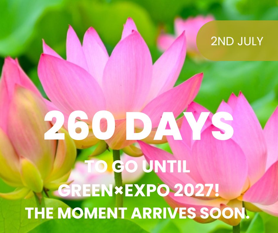 🌺260 Days to Go! The Moment Arrives Soon. 