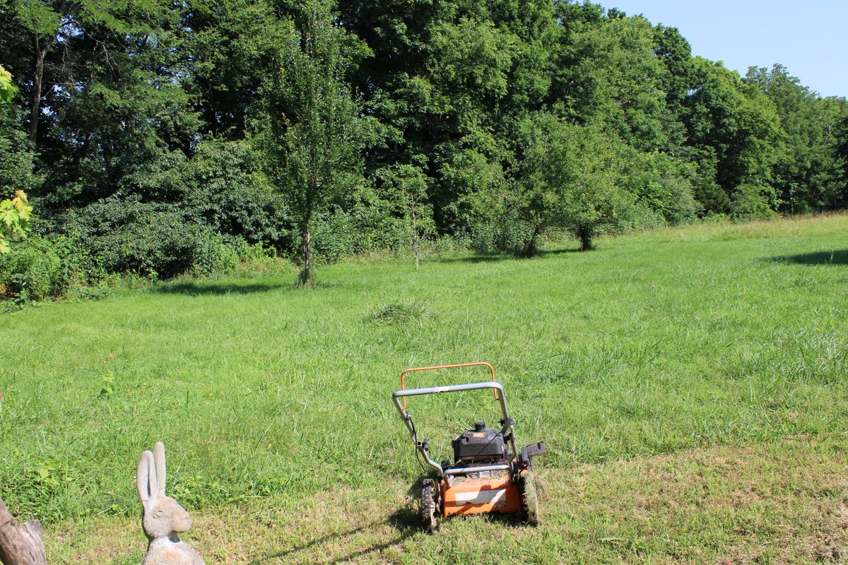 docsanderson's tweet photo. #Scientists #BotanicalGarden #Ecologist
@NatGeo @danpeckwx @HeartsofHeroes_
@Nature G Mags Lizzie Heat Index=109F again. got in solid #Cardio mowing back #Orchard the #Apples really look like apples now heading in to get fluids totally drenched in sweat i love you Mwah HOT Lelon https://t.co/afNrn99Pja