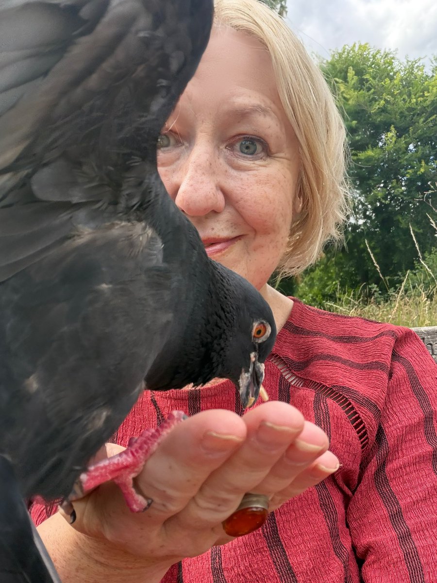 BromptonBunch's tweet photo. Quality time with Timothy #Pigeons https://t.co/0uKJEtku2P