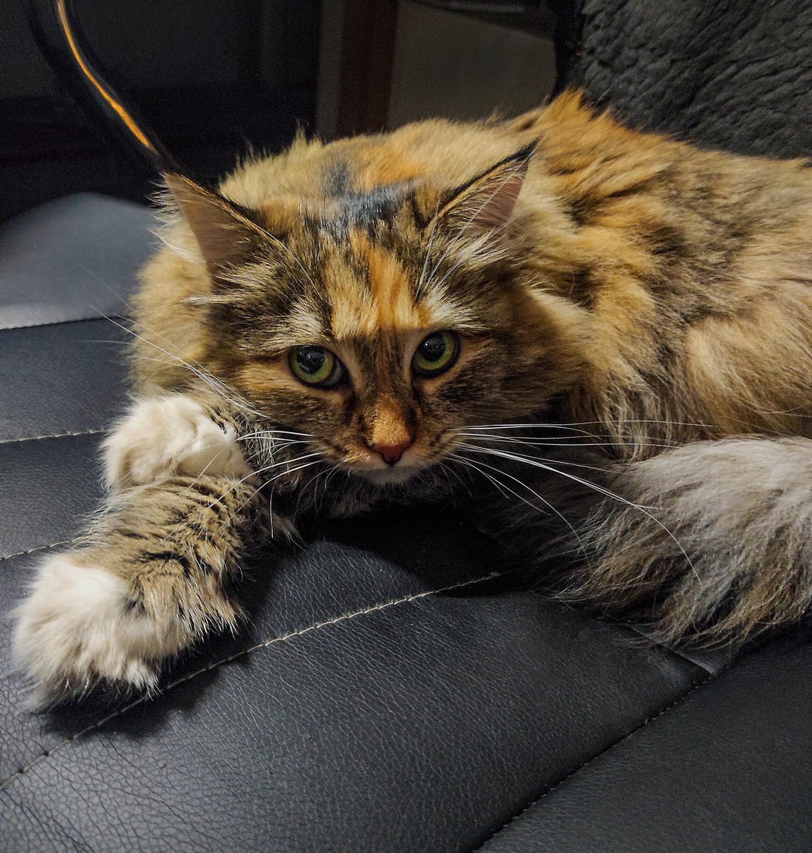 andrew66rus's tweet photo. какая погода, такая и чииииз...😜)) https://t.co/qvzO5DcIEB