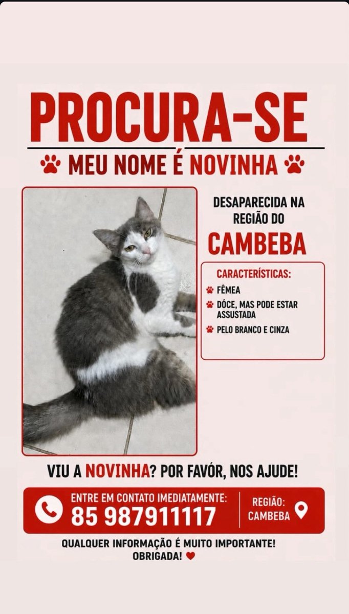 cacatuacansada's tweet photo. https://t.co/D1bkfxsEab