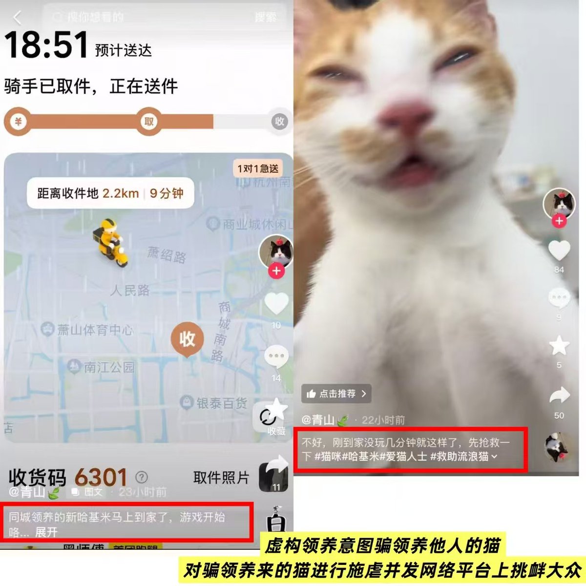 m__nmnn_'s tweet photo. ���江省杭州市萧山区新塘街道，网民“青山”（抖音账号：61962721349），透过领养手段获得猫咪，并将骗来的猫咪进行虐杀，手段包含将猫放进洗衣机溺死、用石头砸死猫等等，手段恶劣、残忍 https://t.co/LWrORGGdHR