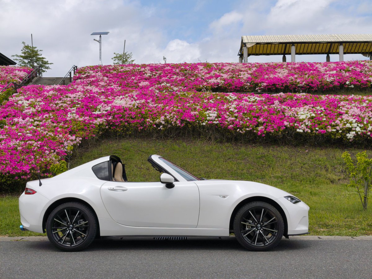 roadster2000_'s tweet photo. @GT3GTS_718RY 買っちゃったよ💦
寧ろデザインに惹かれて... https://t.co/egmtg2iy23