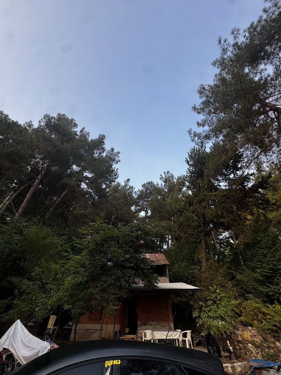 Ozcn29's tweet photo. Düşmüş bir tel saçını saklıyor cüzdanım
Bezm-i Elest’ten ruhuna aşinayım
Yangının göğsümü ziyadesiyle talan ediyorken şayet
Bu ateşi harlama Şayeste 
Ben İbrahim değilim, yanarım. 

https://t.co/bTr5hTbmyh https://t.co/T3wVckLgAX