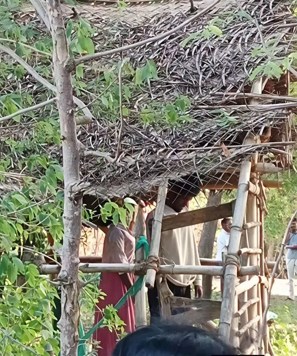 NilavuMozhi's tweet photo. மயிலாடுதுறை தரங்கம்பாடியில், 17வயது திவ்யதர்ஷினியை காதலித்த 19வயது பார்த்திபனை, அப்பெண்ணின் பெற்றோர்கள் மிரட்டுவதாக கொடுத்த புகாரை வாங்க மறுத்துள்ளது காவல்துறை. இந்நிலையில் நயவஞ்சகமாக அழைத்துச் சென்று கொன்றுள்ளனர். இந்த சாதியவாதிகளுக்கு எவ்வளவு திமிர்?குழந்தைகடா https://t.co/8jhyypzvtQ