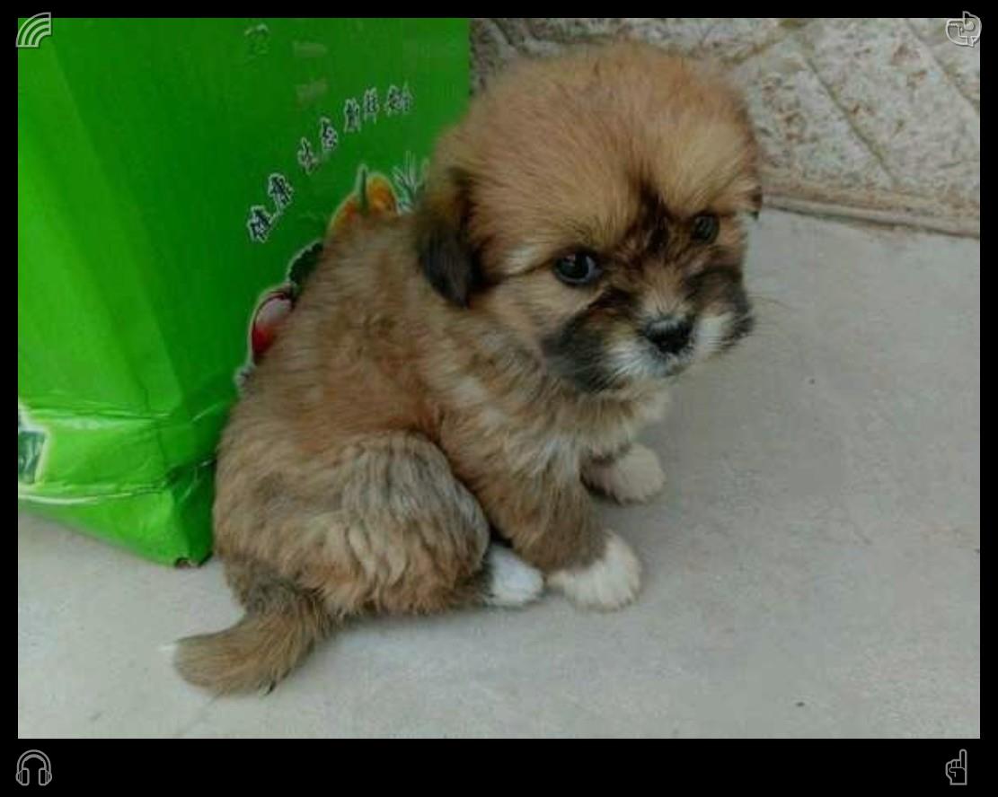 doseofunicorn's tweet photo. 她将信件重新折好并塞进兜里，心跳加速地走出房门。此时，风中传来了海浪拍打岸边的隐约声响，那是她已遗忘的熟悉旋律。🦄与同事玩电子游戏，同事们赢了。 https://t.co/kziOsess5y