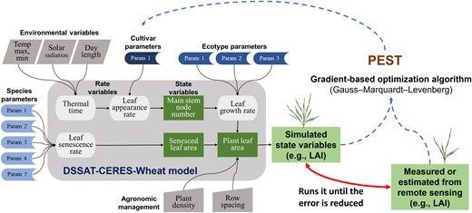 insilicoplants's tweet photo. 💻🌾 Use of an enhanced cultivar calibration framework for #DSSAT to examine effects of ecotype and time-series data
by @L_VargasR Matthew Reynolds, and Diane Wang
https://t.co/QbjdmtcCTc #PlantScience #drought https://t.co/2dA3m6jPNP