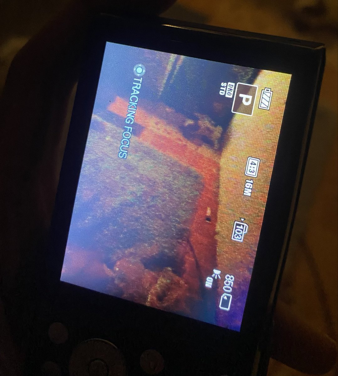 anyaadn94's tweet photo. WTS
SONY DSC W730
lcd , tombol , vignet , noda , aman semuaa nya like new , body mulus
no minuss
include : strap, memori bawaan sony , pouch, charger bawaan sony, batre
#digicam #jualdigicam #jualdigicammurah https://t.co/zbXfGJj2Qo
