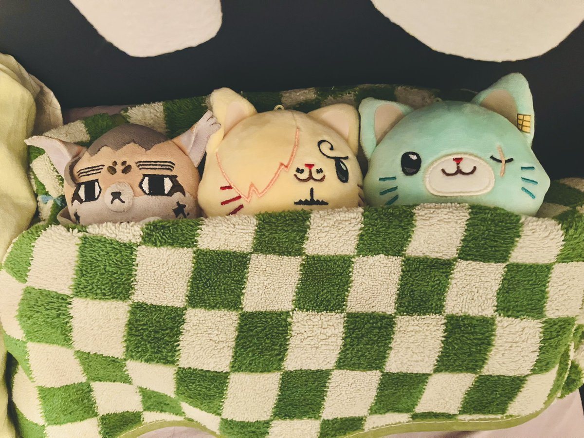 新品、めちゃくちゃやばい、横において寝ると、毎日いないとダメになる、手作り猫 いつも枕元でこのスタイルで寝てるねこたち。 にゃんゾとにゃんジが