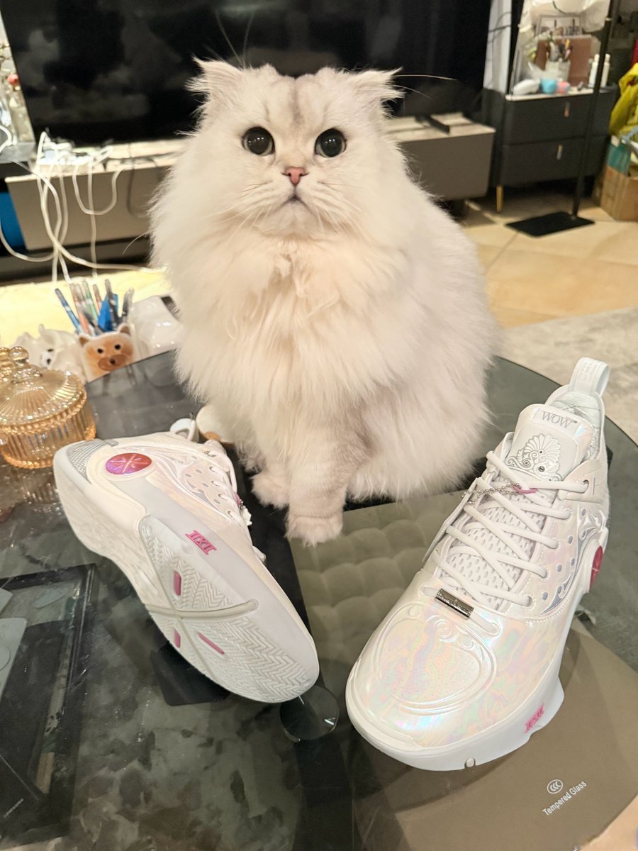 OsetobaOluwasey's tweet photo. My fluffy kitten just took their first wobbly step today—growing up so fast, my heart’s full! #PetGrowth #KittenLife, https://t.co/DZCufVQrgs