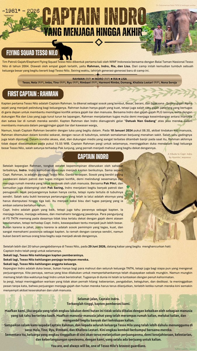 ayoouu's tweet photo. Untuk sebuah kehilangan besar yang akan terus meninggalkan ruang kosong, namun juga menyimpan begitu banyak memori indah di sudut hati.

Fly high, Kapten Indro 🥀🐘

Selesai sudah tugasmu di bumi ini. Selesai pula luka dan ketidakadilan yang selama ini harus engkau rasakan. Meski kepergianmu berarti perpisahan pilu yang memisahkan raga dengan teman-teman terbaikmu, Pak Pikri dan Bang Saring, serta seluruh keluargamu di Tesso Nilo, semoga kini engkau beristirahat dengan tenang, tanpa rasa sakit, tanpa takut, dan tanpa kehilangan rumah lagi.

Sampaikan maaf kami kepada Capt. Rahman dan semua yang telah lebih dulu menunggu di atas sana.

Terima kasih, Kapten Indro.