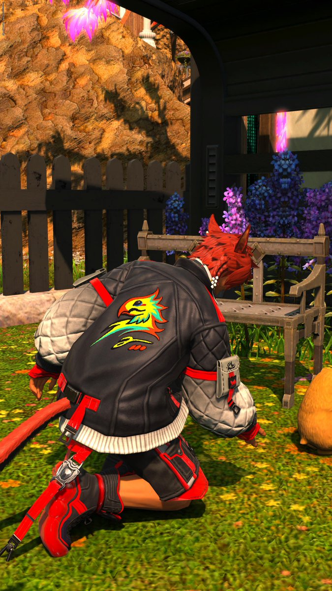 FF14_Hooper's tweet photo. @Nya_Chocochips じゃあ貼ってみよう…。
シッポみたいなので判別できる！？
……なんかおしり触ろうとしてるように見える……？ https://t.co/q8t0R3SnUs