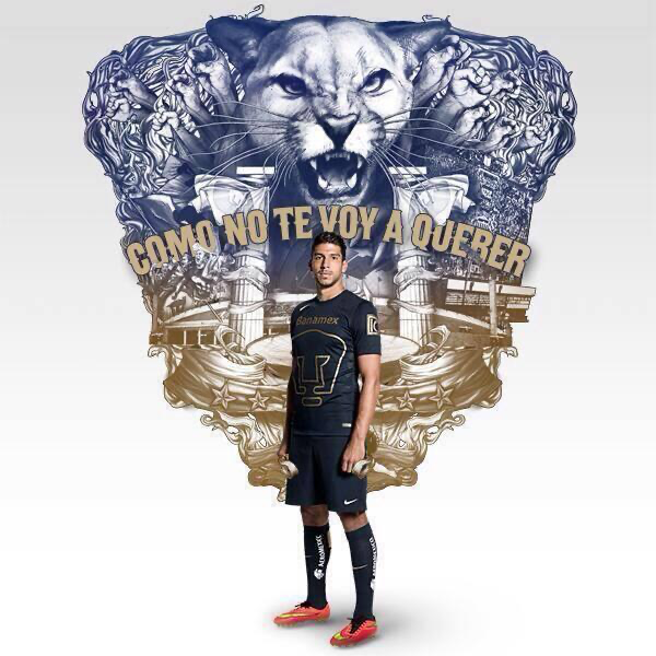 platafdo's tweet photo. no ganamos un carajo con nike en 12 años pero qué tal la copa camisetas, vuela alto palomita https://t.co/f0Ldl1NSaN