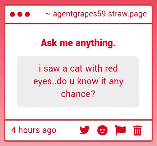 AgentGrapes59's tweet photo. Cat with red eyes.... Maybe it's ■■■■■■■ ■■■■? No, I don't think that one was still considered canon since it got removed.. I don't think I do. https://t.co/5UyLjB99y4