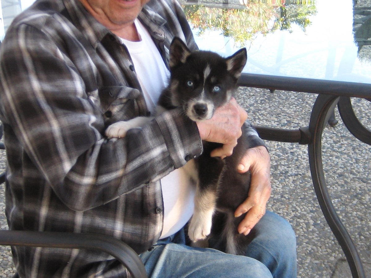 RobertJMolnar's tweet photo. Dad at 82 with my Chili Dog pup the day we brought her home

RIP Dad and Chili https://t.co/fJLU6vNV1y