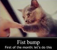 FistBumpLets's tweet photo. Fist Bump. First of the month Let’s do this. https://t.co/gY6nBJZO6h