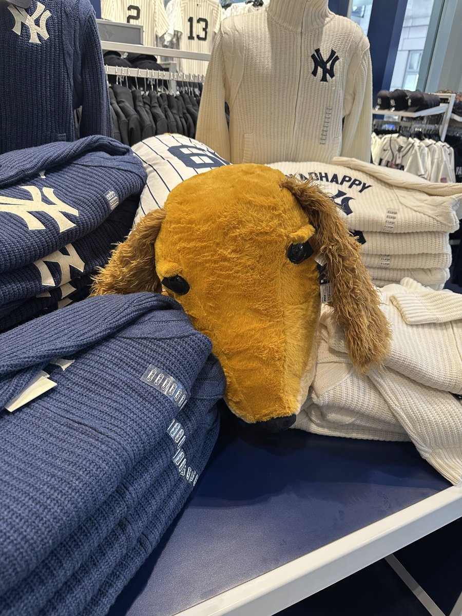 heather410's tweet photo. めちゃくちゃ大きいペニーとガスが売られていた https://t.co/OgyI9AnoxF