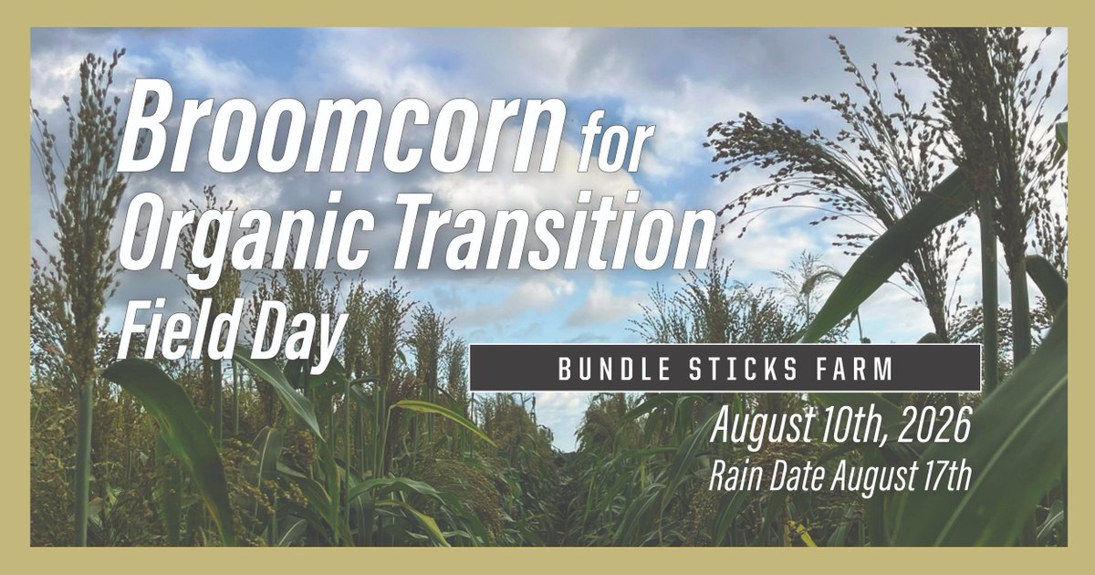 PurdueExtension's tweet photo. What is broomcorn, and how can it help farmers transition to organic production? Find out at the Broomcorn for Organic Transition Field Day at Bundle Sticks Farm and Education Center! Hosted by the @OrganicIndiana, this free event includes a broomcorn harvest. Register at https://t.co/DViILpoZJ7 or call 765-496-6362.