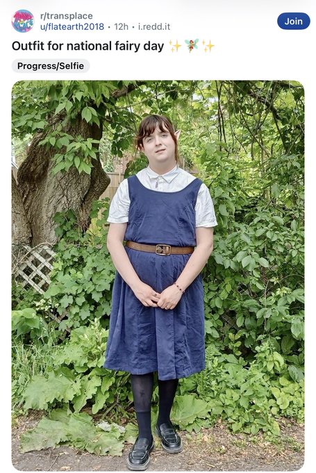 MaryCate Delvey - A man pretending to be a woman pretending to be a fairy https://t.co/5e6eEg7Zys