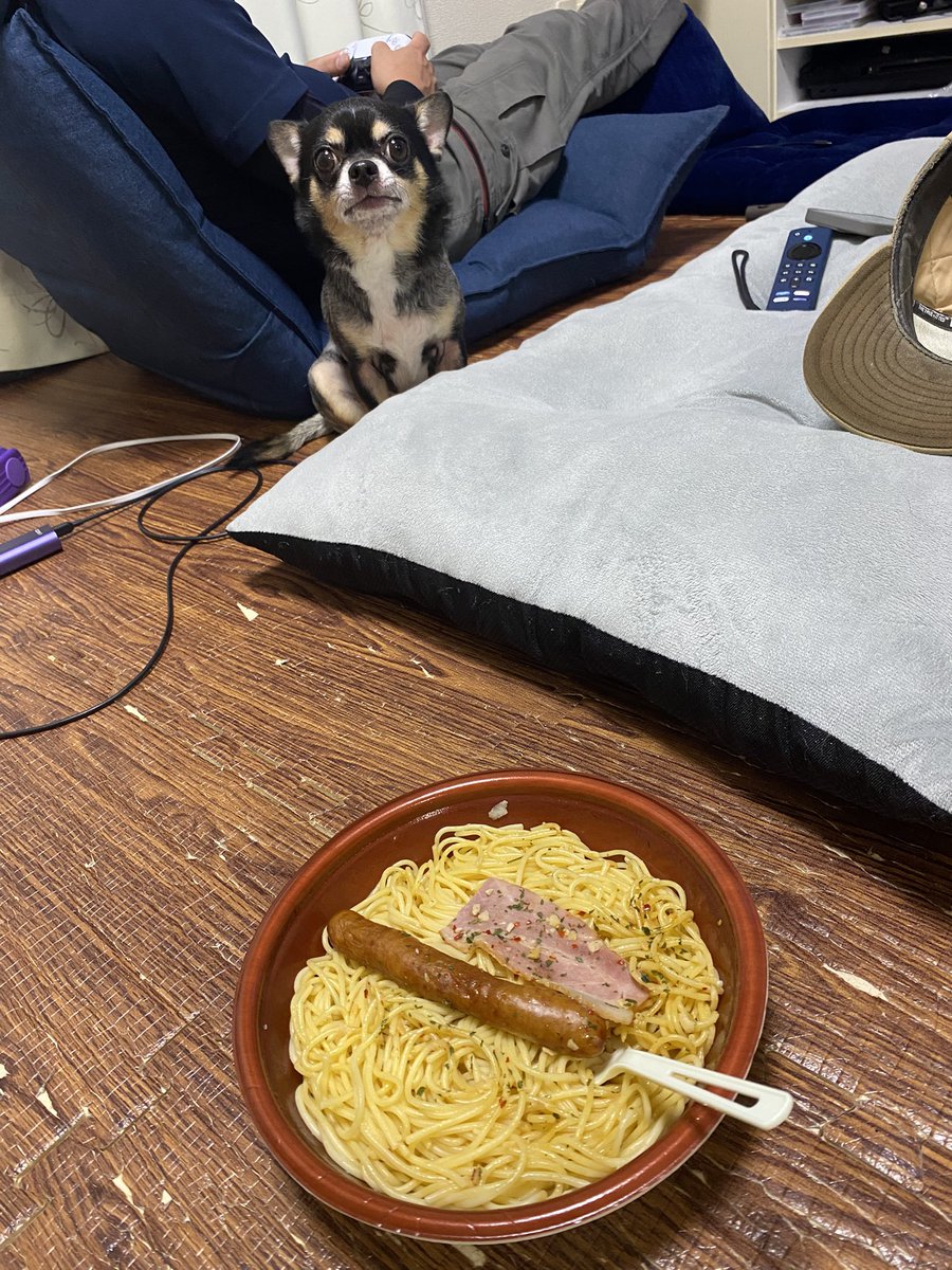 pirukuru2000's tweet photo. もっと息 https://t.co/A5aN9PVDpZ