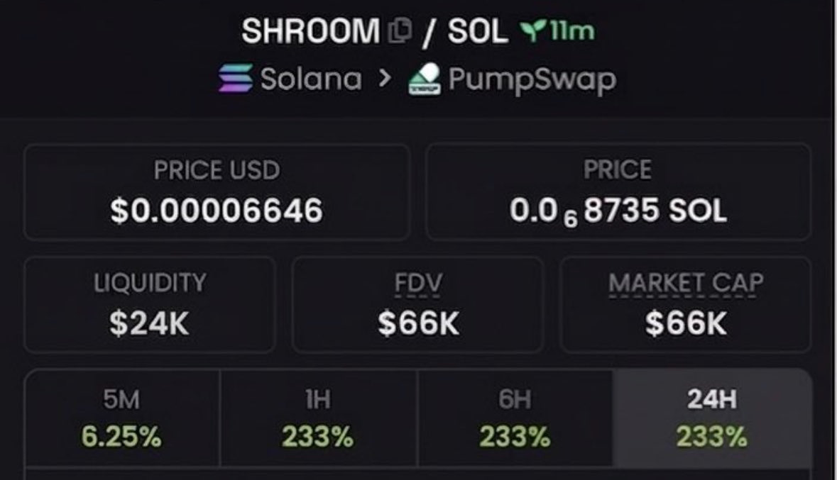FomoChemist's tweet photo. I introduced $SHROOM at a $66k market cap and strategically shared it with my community, highlighting its early-entry edge and strong upside potential.
Ca:
CyiCycxr3JLcr9vKkDMm6uYM6y8Gzjuks4C9ebsrpump
#bbvipal5 #memecoin #Solana https://t.co/kO1OzboV5I