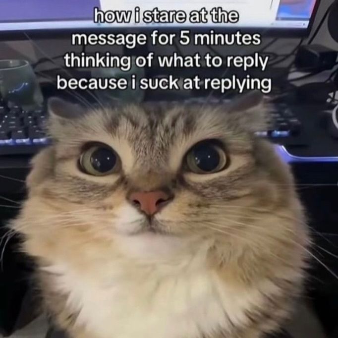 nocontextmemes's tweet photo. https://t.co/7PAkA7YenF