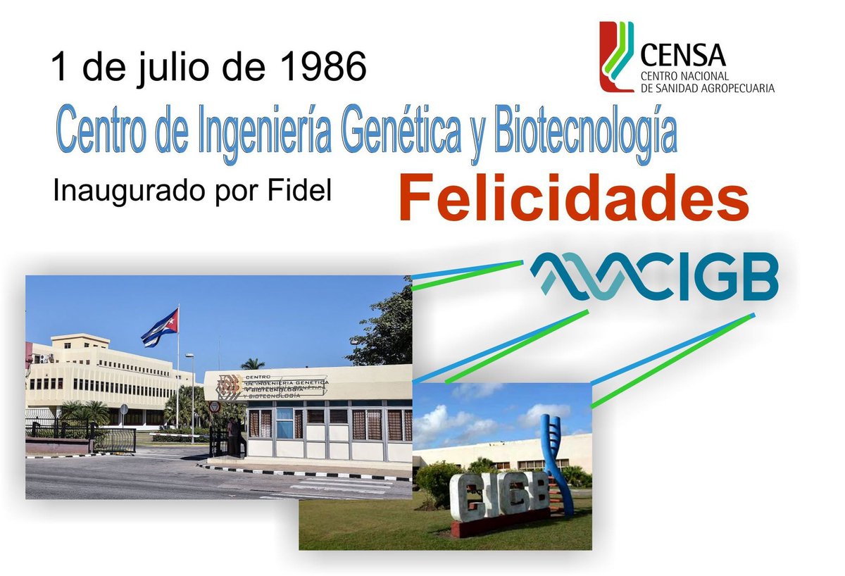 censacuba's tweet photo. ¡Felicidades al @CIGBCuba, en su 40 aniversario!
Desde @censacuba reconocemos a su colectivo por cuatro décadas de entrega, innovación y resultados que enorgullecen a Cuba.
¡Sigan siendo referente de la #CienciaCubana!
#CIGB40Años #BiotecnologíaCubana https://t.co/DpEsm46Du7