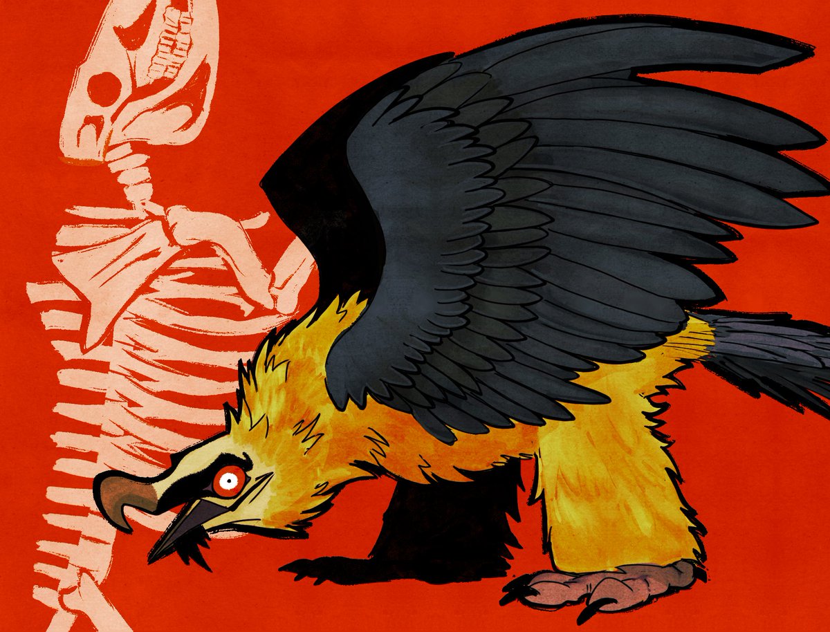 blank_boyo's tweet photo. Tuff bird https://t.co/qX42hqaKmR