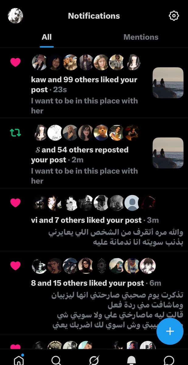 Jelly tweet media
